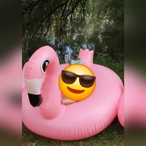 🌊🦩Giant Flamingo Pool Floatie Fits 2 Adults 🦩🌊